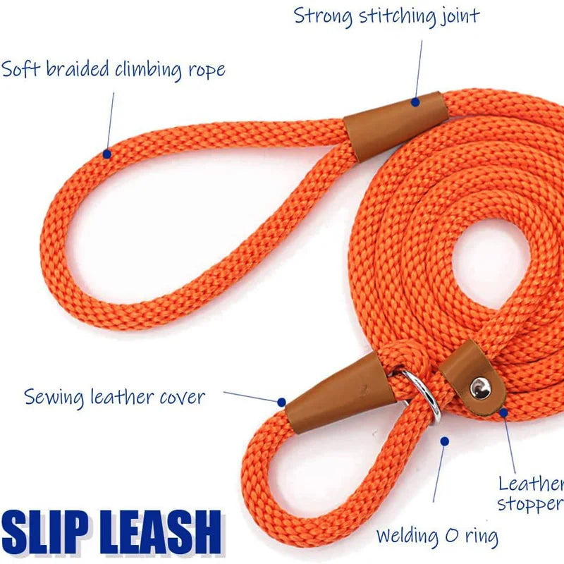 "Strong nylon slip leash for pets"