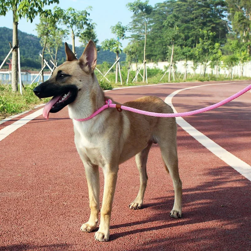 "Dog slip lead with adjustable handle"