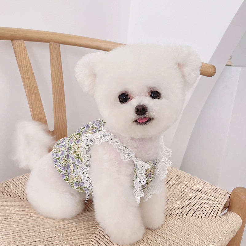 Puffy Lace Pet Vest