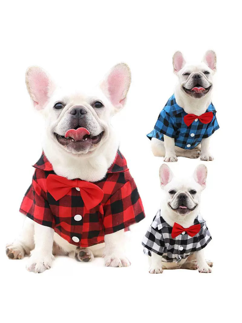 Dog Gingham Shirt Suit