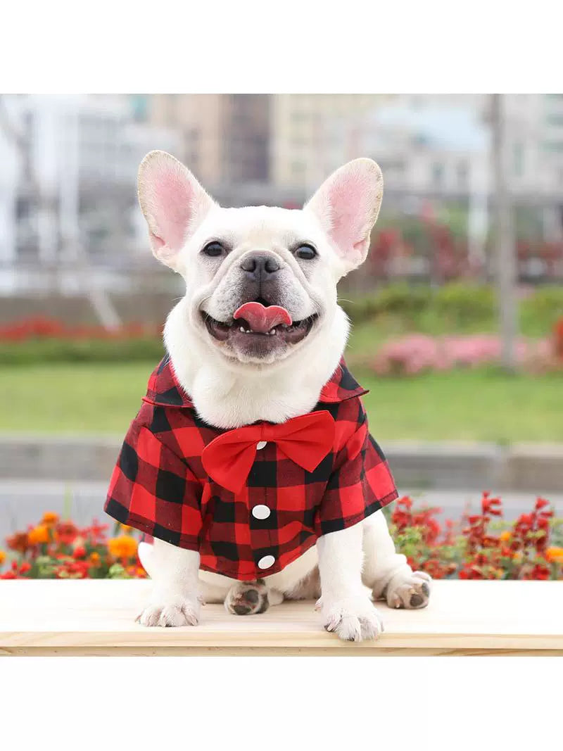 Dog Gingham Shirt Suit