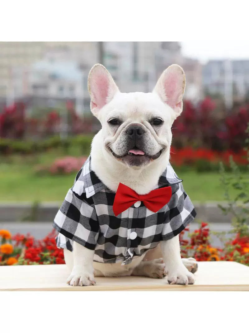 Dog Gingham Shirt Suit