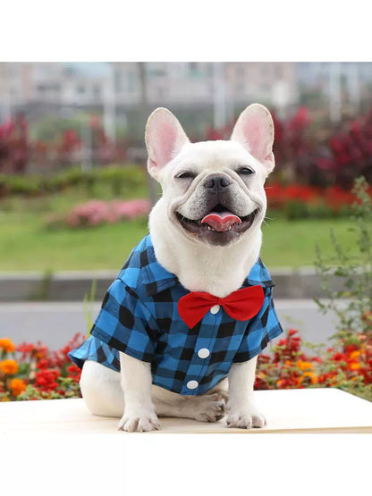 Dog Gingham Shirt Suit