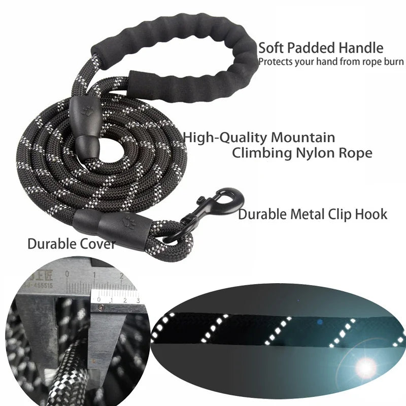 Reflective Nylon Dog Leash in Various Lengths