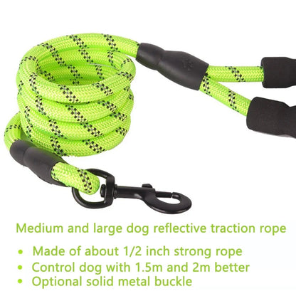 Reflective Nylon Dog Leash in Various Lengths