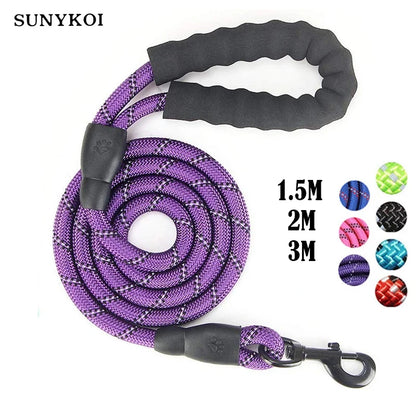 Reflective Nylon Dog Leash in Various Lengths