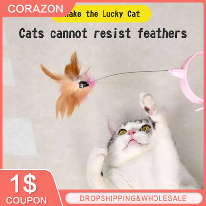 Cat Training Toys