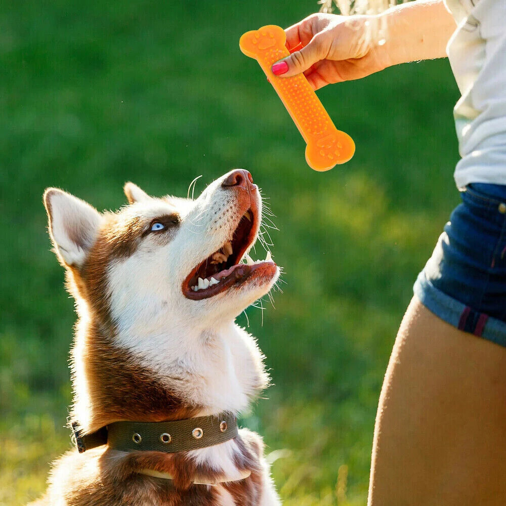 Rubber Bone Dog Toothbrush