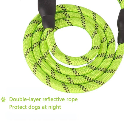 Reflective Nylon Dog Leash in Various Lengths