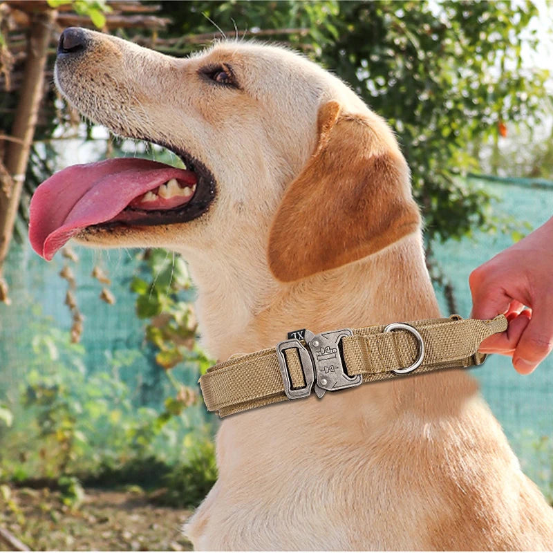 Durable Reflective Nylon Dog Collar Leash