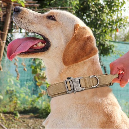 Durable Reflective Nylon Dog Collar Leash