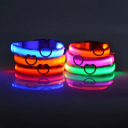 LED Glow-in-the-Dark Dog Collar Leash