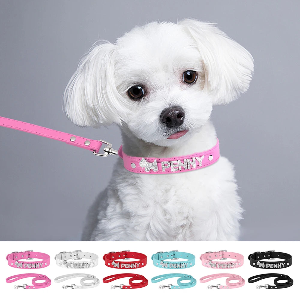 "Adjustable nylon slip lead for dogs" "Durable slip lead with adjustable fit" "Nylon slip lead for dog training" "Comfortable adjustable dog slip leash" "Slip lead for dogs with adjustable loop" "Strong nylon slip leash for pets" "Dog slip lead with adjus