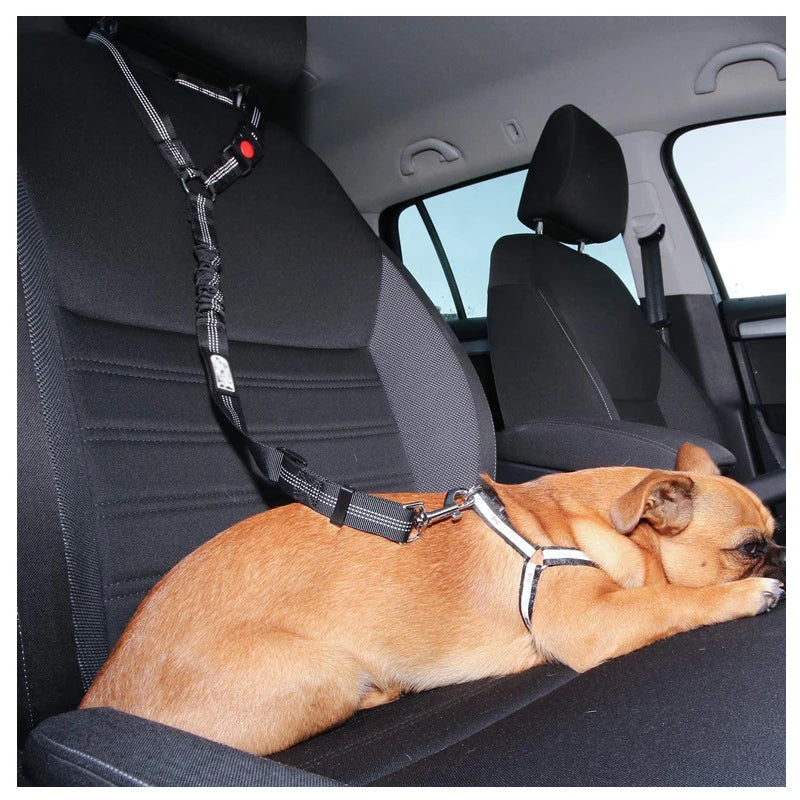 Two-in-One Dog Harness Leash Seatbelt