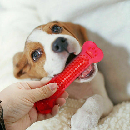 Rubber Bone Dog Toothbrush