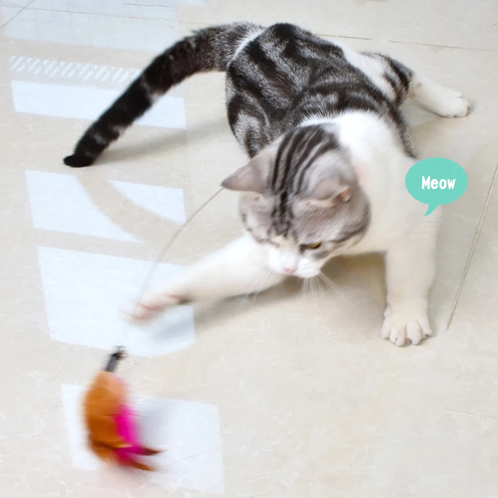 Cat Training Toys