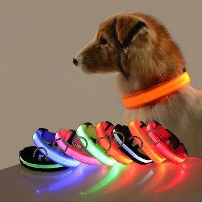 LED Glow-in-the-Dark Dog Collar Leash