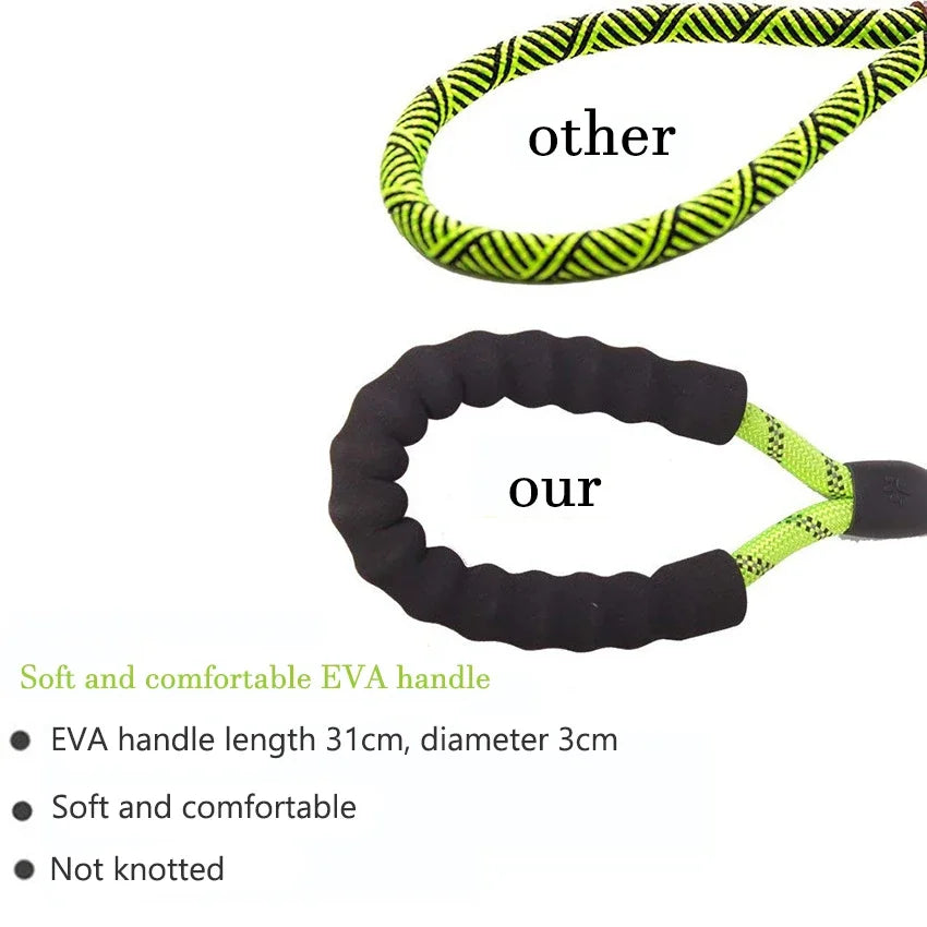 Reflective Nylon Dog Leash in Various Lengths