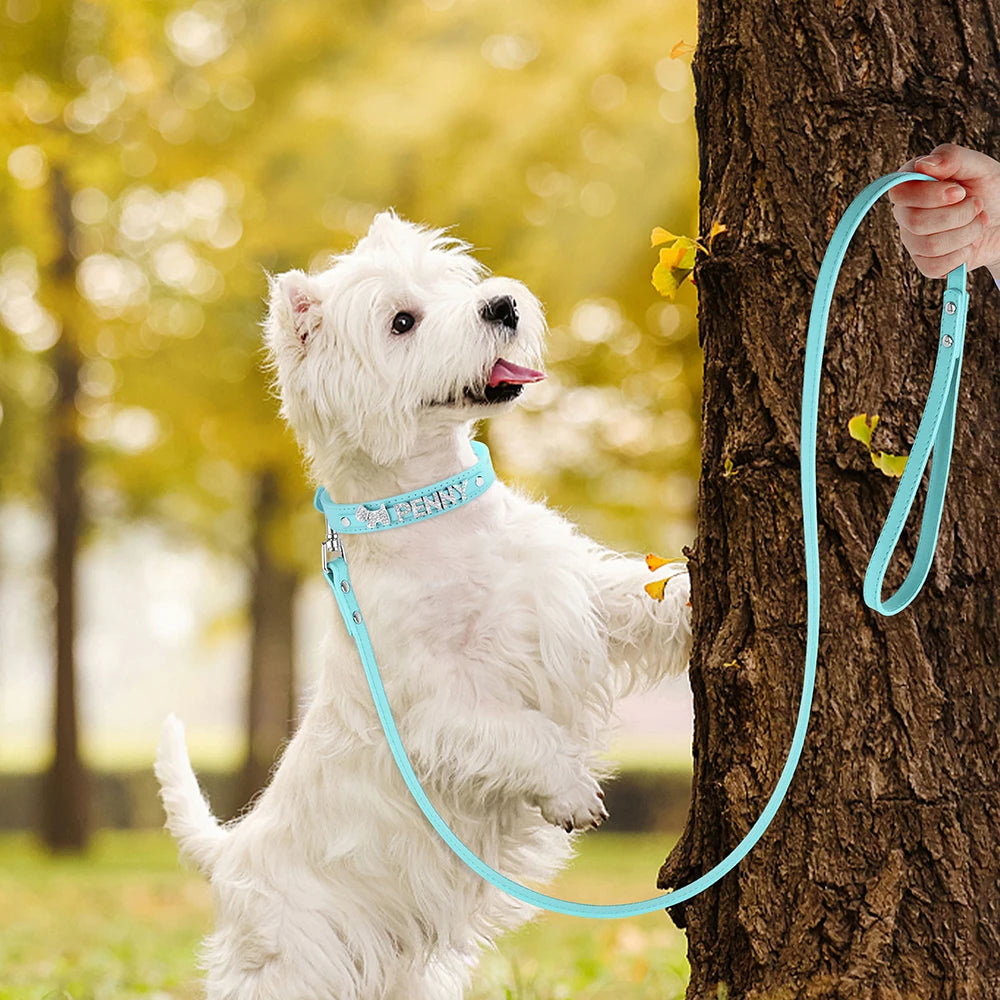 "Adjustable nylon slip lead for dogs" "Durable slip lead with adjustable fit" "Nylon slip lead for dog training" "Comfortable adjustable dog slip leash" "Slip lead for dogs with adjustable loop" "Strong nylon slip leash for pets" "Dog slip lead with adjus