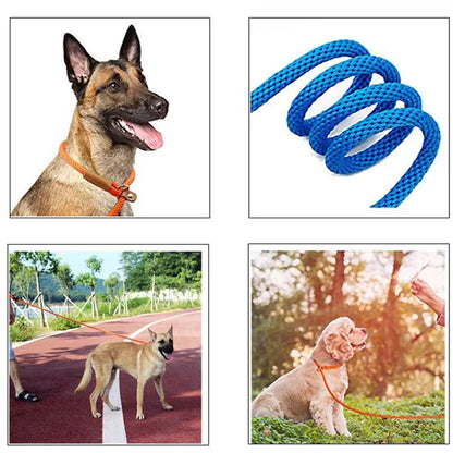 "Adjustable nylon slip lead for dogs"