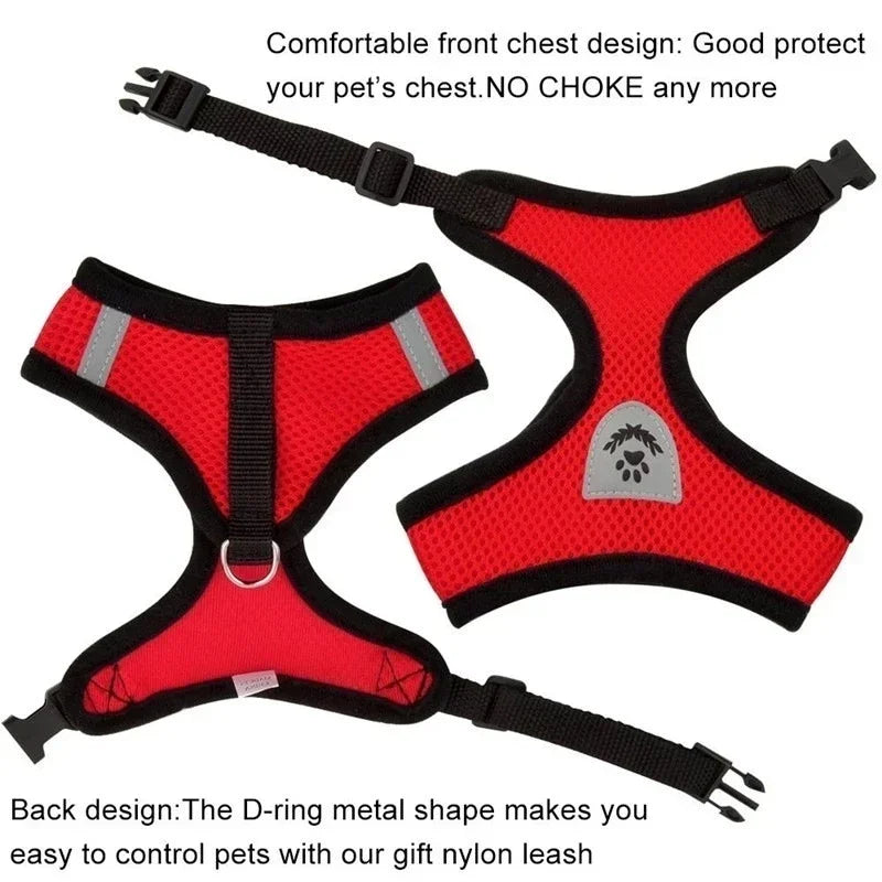 "Breathable cat harness with quick-release buckle"