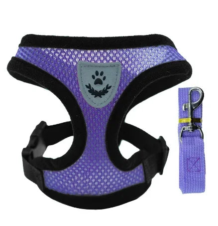 "Comfortable mesh harness for cats on a leash"