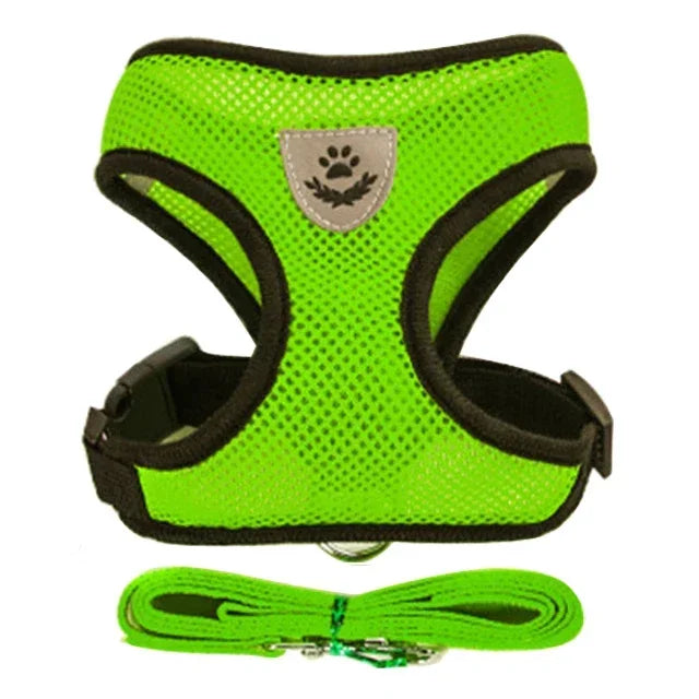 "Soft mesh cat harness with adjustable fit"