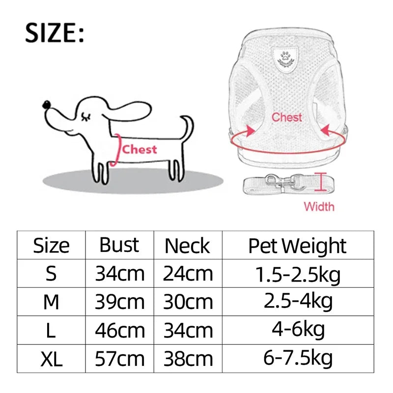 "Comfortable mesh harness for cats on a leash"