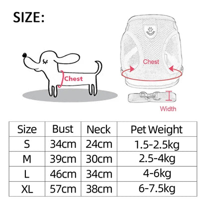 "Comfortable mesh harness for cats on a leash"