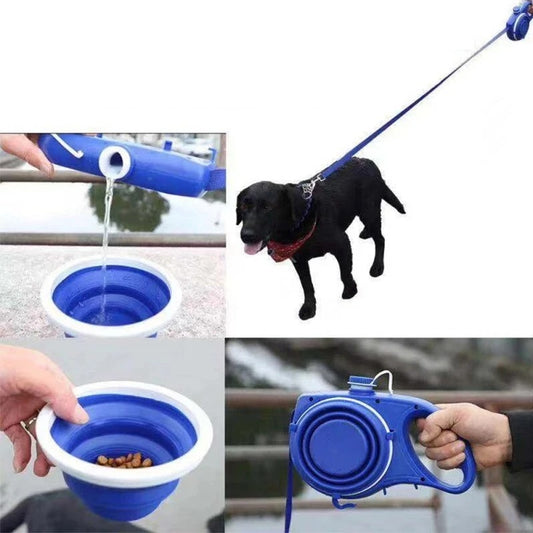 Multifunctional Pet Leash