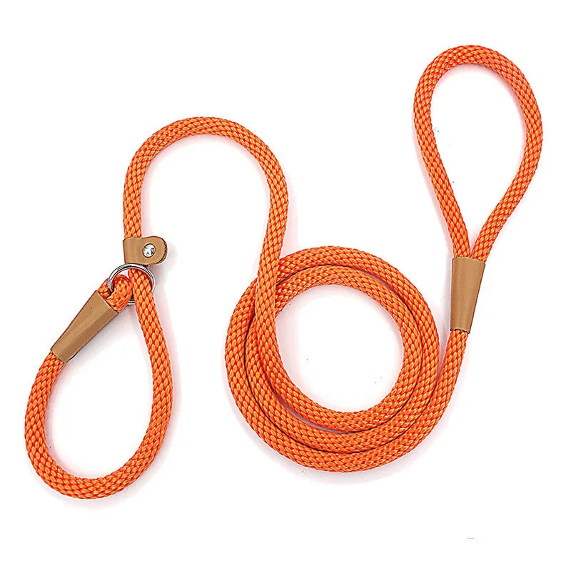 "Slip lead for dogs with adjustable loop"