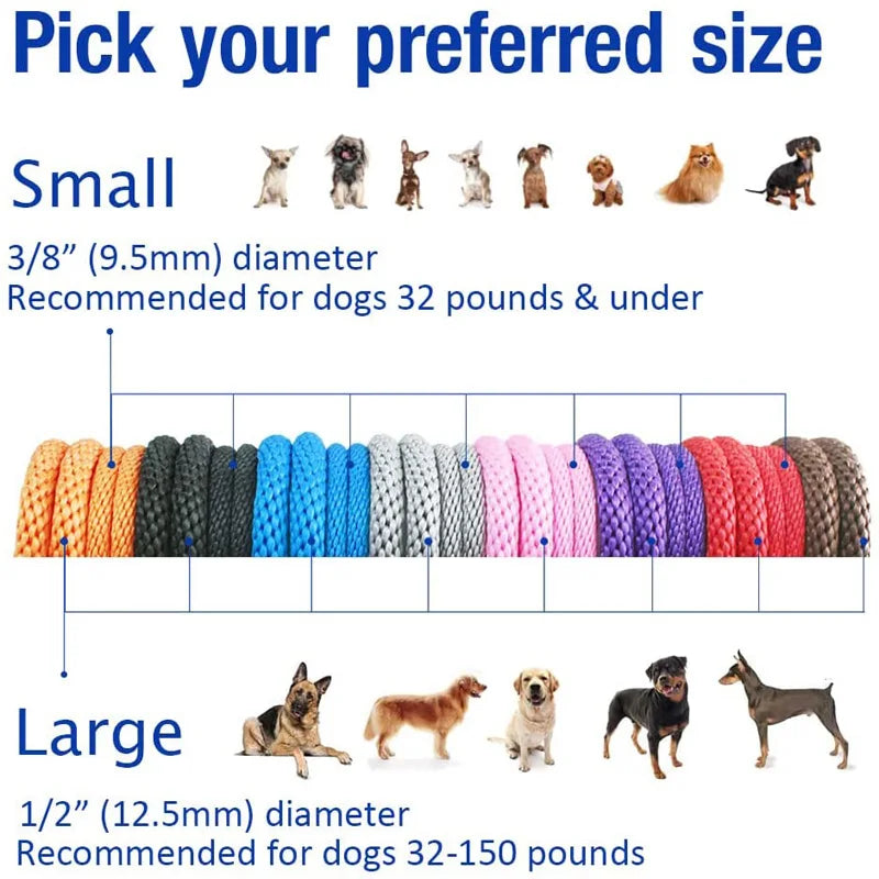 "Slip lead for dogs with adjustable loop"