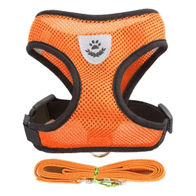 "Comfortable mesh harness for cats on a leash"