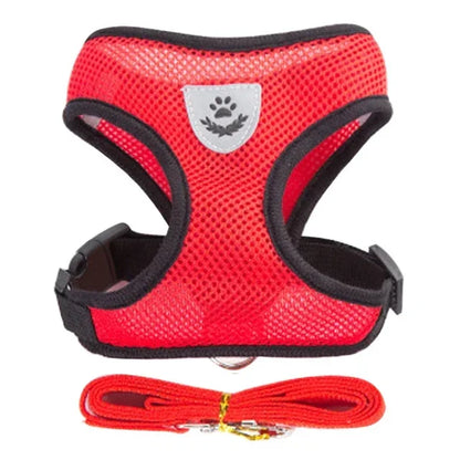 "Breathable cat harness with quick-release buckle"